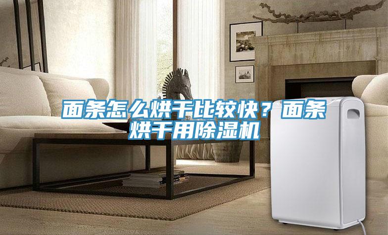 面條怎么烘干比較快？面條烘干用除濕機(jī)