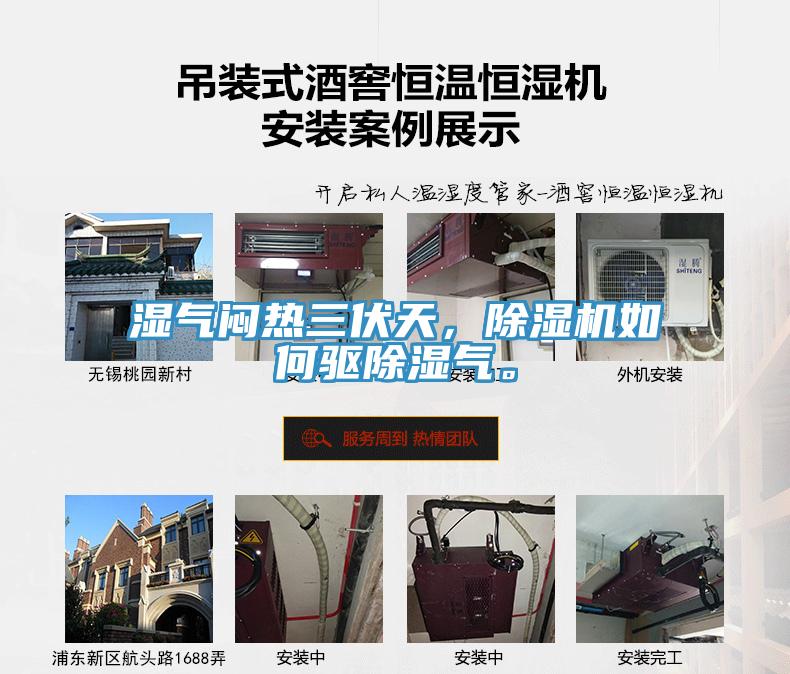 濕氣悶熱三伏天，除濕機如何驅除濕氣。