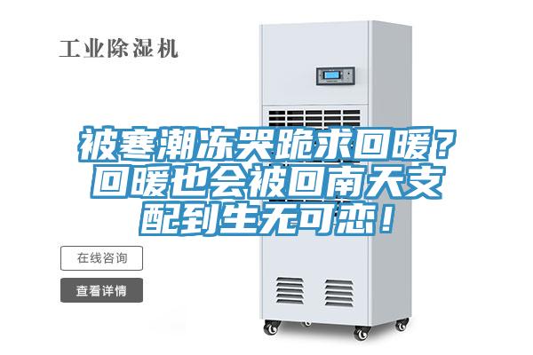被寒潮凍哭跪求回暖？回暖也會被回南天支配到生無可戀！