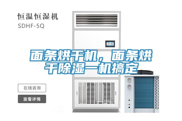 面條烘干機,面條烘干除濕一機搞定