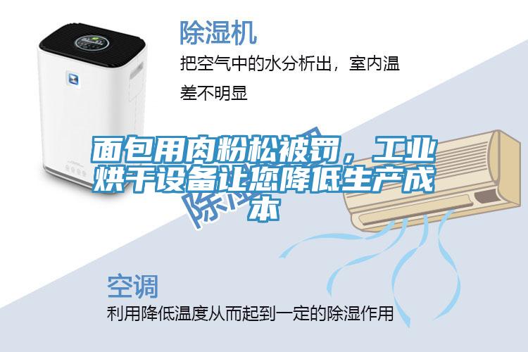 面包用肉粉松被罰,工業(yè)烘干設(shè)備讓您降低生產(chǎn)成本