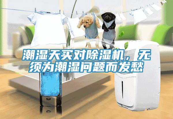 潮濕天買對除濕機，無須為潮濕問題而發(fā)愁