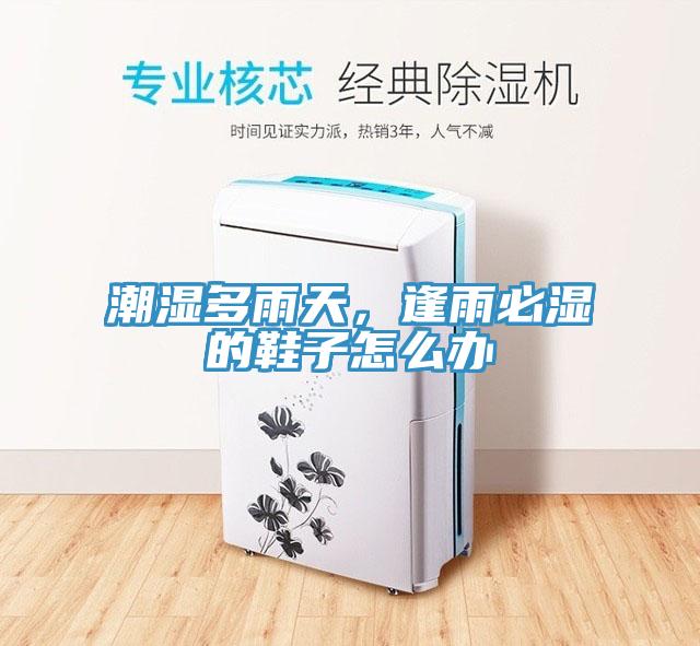 潮濕多雨天，逢雨必濕的鞋子怎么辦