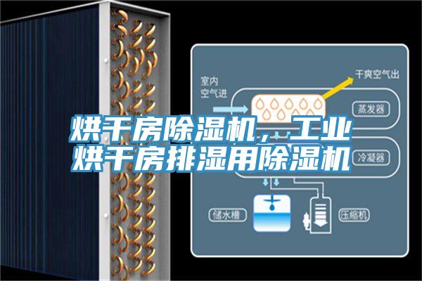 烘干房除濕機,工業烘干房排濕用除濕機
