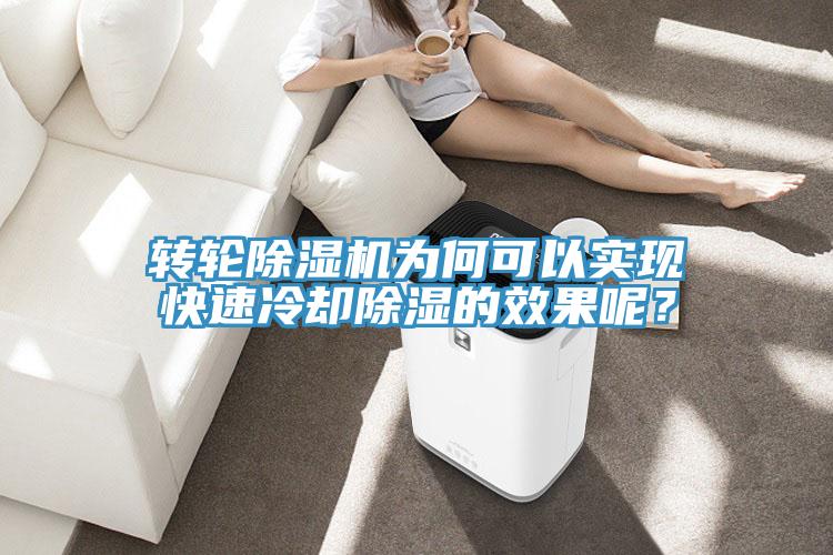 轉輪除濕機為何可以實現快速冷卻除濕的效果呢?
