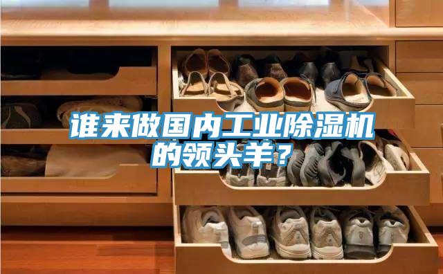 誰(shuí)來(lái)做國(guó)內(nèi)工業(yè)除濕機(jī)的領(lǐng)頭羊？