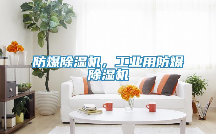 防爆除濕機(jī)，工業(yè)用防爆除濕機(jī)