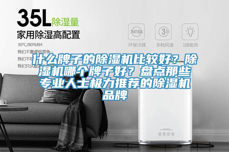 什么牌子的除濕機比較好？除濕機哪個牌子好？盤點那些專業人士極力推薦的除濕機品牌