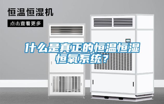 什么是真正的恒溫恒濕恒氧系統？
