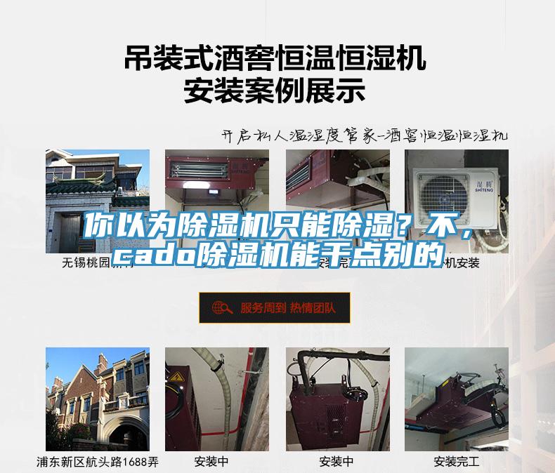 你以為除濕機只能除濕?不,cado除濕機能干點別的
