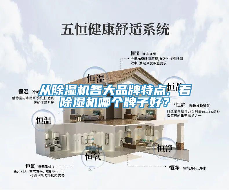 從除濕機各大品牌特點, 看除濕機哪個牌子好？