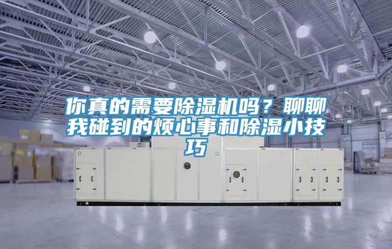 你真的需要除濕機嗎?聊聊我碰到的煩心事和除濕小技巧