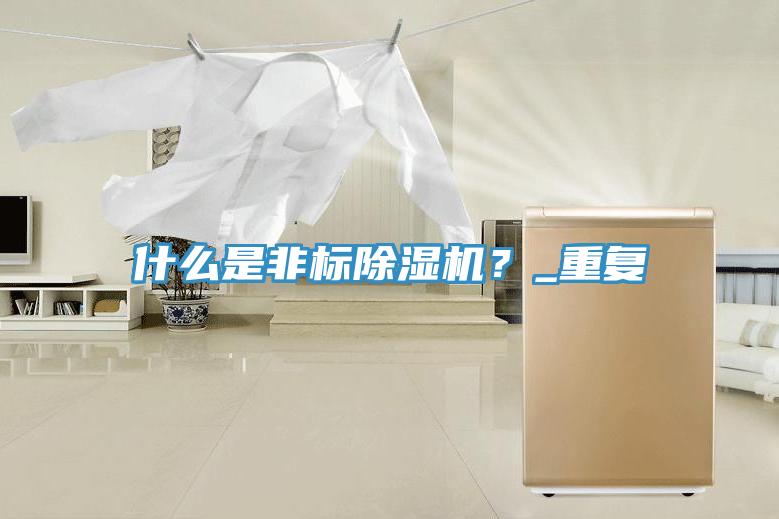 什么是非標除濕機？_重復