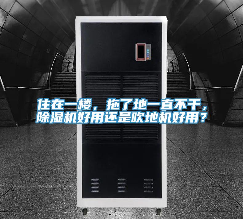 住在一樓,拖了地一直不干,除濕機好用還是吹地機好用?