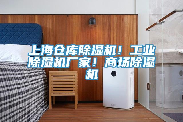 上海倉庫除濕機！工業(yè)除濕機廠家！商場除濕機