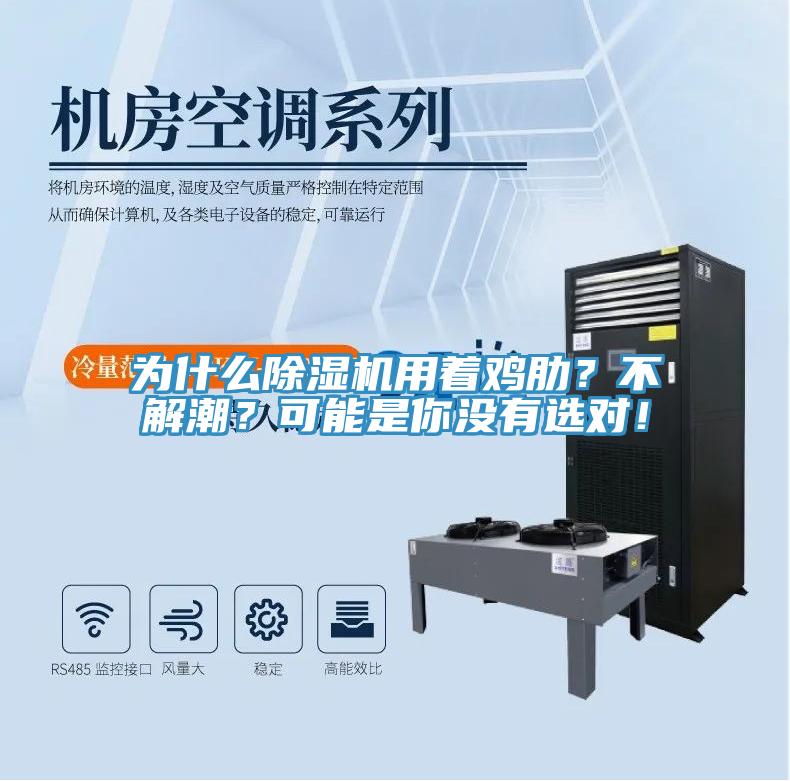 為什么除濕機(jī)用著雞肋?不解潮?可能是你沒有選對(duì)!
