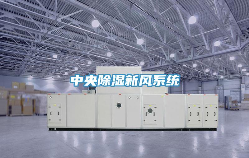 中央除濕新風系統
