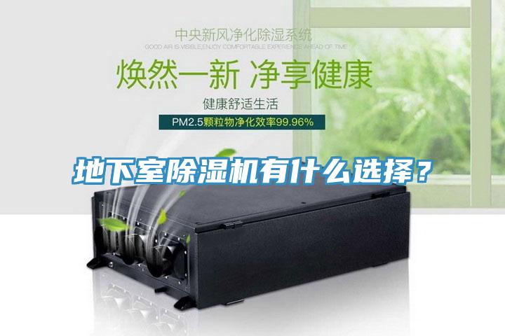 地下室除濕機有什么選擇?