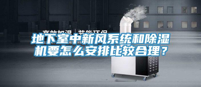 地下室中新風(fēng)系統(tǒng)和除濕機(jī)要怎么安排比較合理？