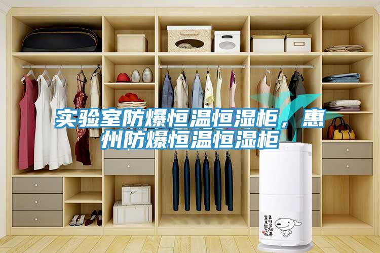 實驗室防爆恒溫恒濕柜,惠州防爆恒溫恒濕柜
