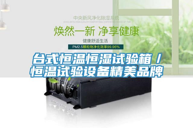 臺式恒溫恒濕試驗箱/恒溫試驗設備精美品牌