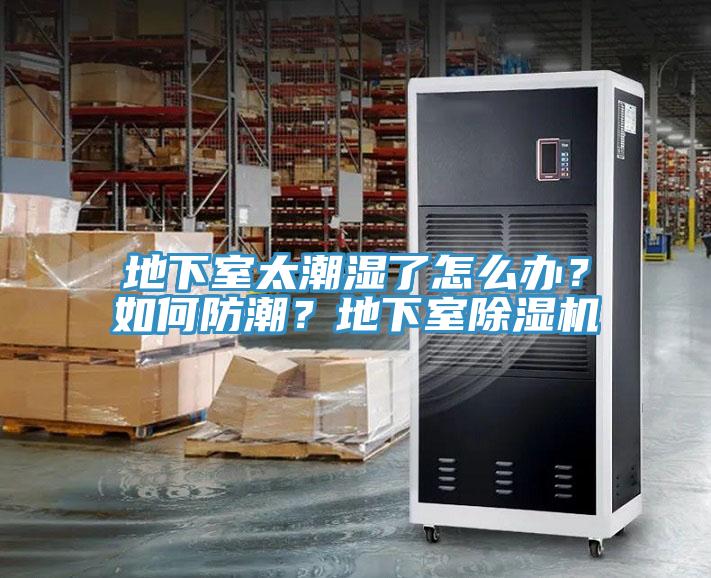 地下室太潮濕了怎么辦？如何防潮？地下室除濕機