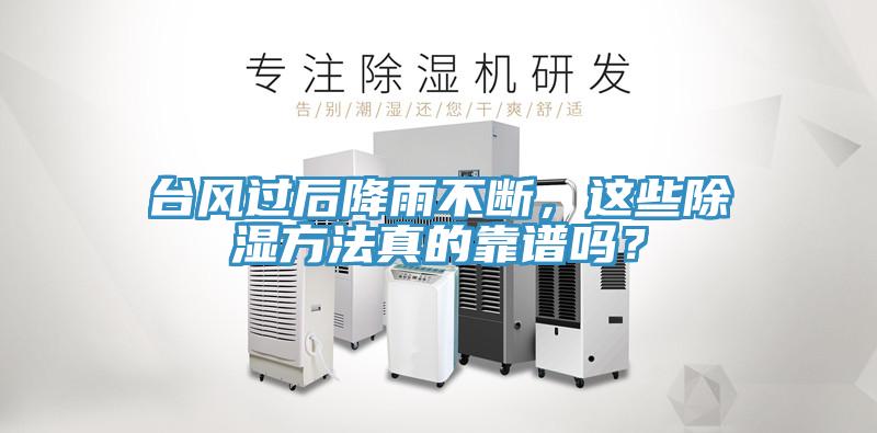 臺(tái)風(fēng)過后降雨不斷，這些除濕方法真的靠譜嗎？