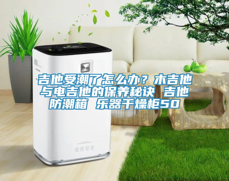 吉他受潮了怎么辦？木吉他與電吉他的保養秘訣 吉他防潮箱 樂器干燥柜50