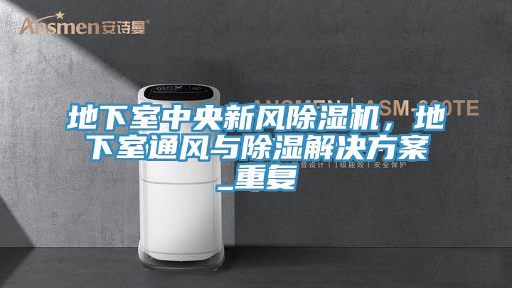 地下室中央新風(fēng)除濕機(jī)，地下室通風(fēng)與除濕解決方案_重復(fù)