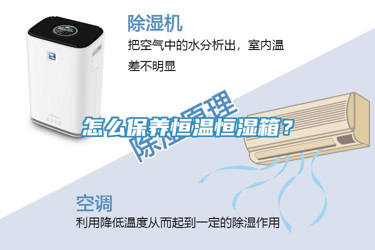 怎么保養(yǎng)恒溫恒濕箱?
