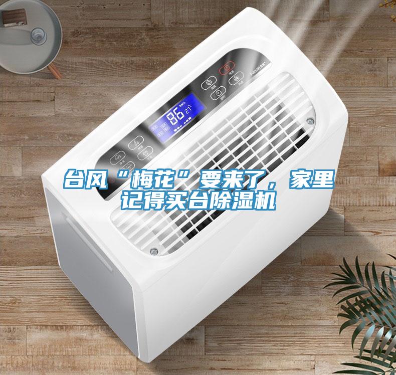 臺(tái)風(fēng)“梅花”要來了，家里記得買臺(tái)除濕機(jī)