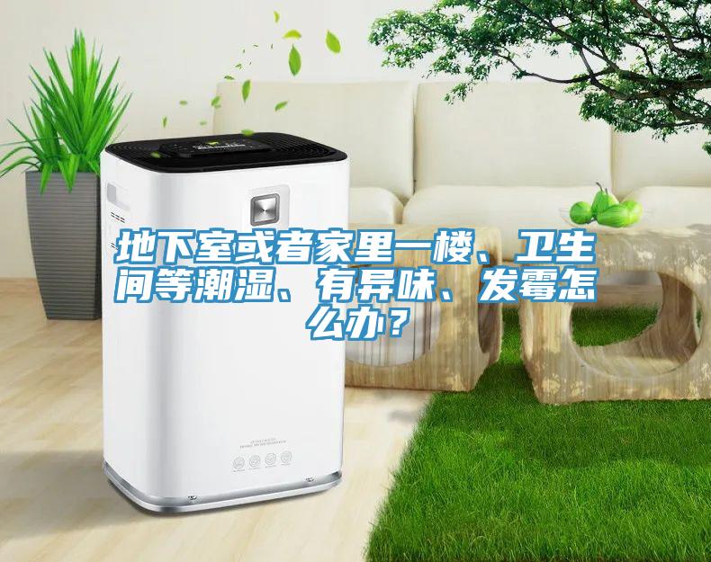 地下室或者家里一樓、衛(wèi)生間等潮濕、有異味、發(fā)霉怎么辦?
