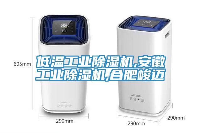 低溫工業除濕機,安徽工業除濕機,合肥峻邁