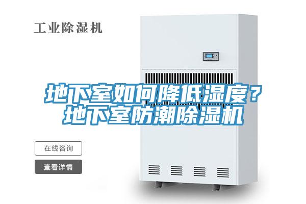 地下室如何降低濕度？地下室防潮除濕機