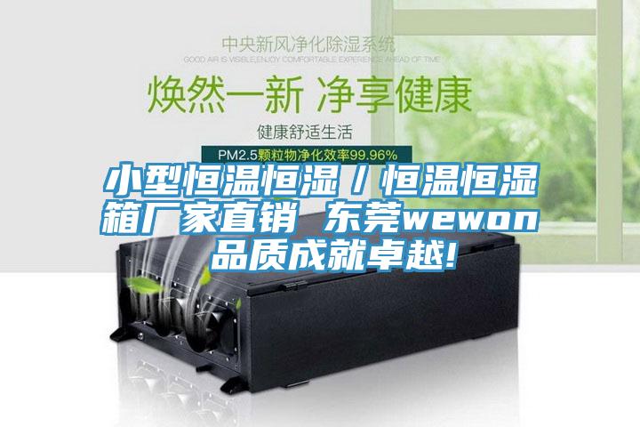 小型恒溫恒濕/恒溫恒濕箱廠家直銷 東莞wewon 品質成就卓越!