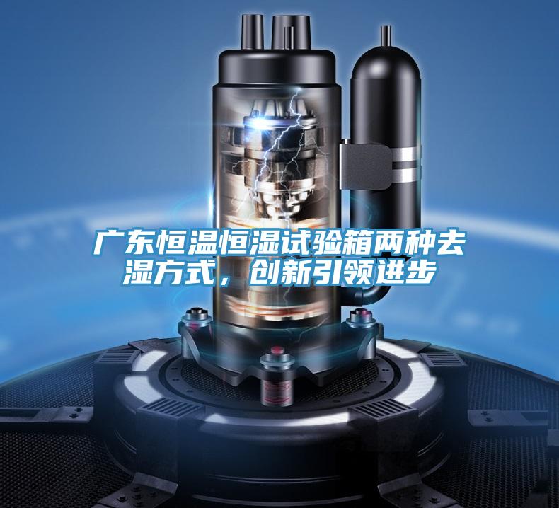 廣東恒溫恒濕試驗箱兩種去濕方式，創新引領進步