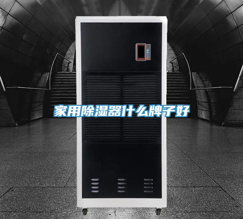 家用除濕器什么牌子好