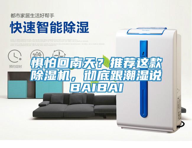 懼怕回南天？推薦這款除濕機，徹底跟潮濕說BAIBAI