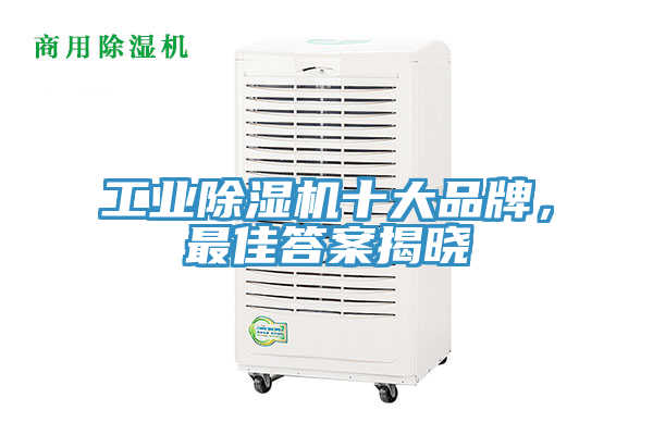 工業除濕機十大品牌，最佳答案揭曉
