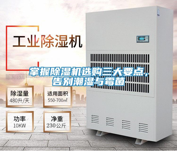 掌握除濕機選購三大要點，告別潮濕與霉菌