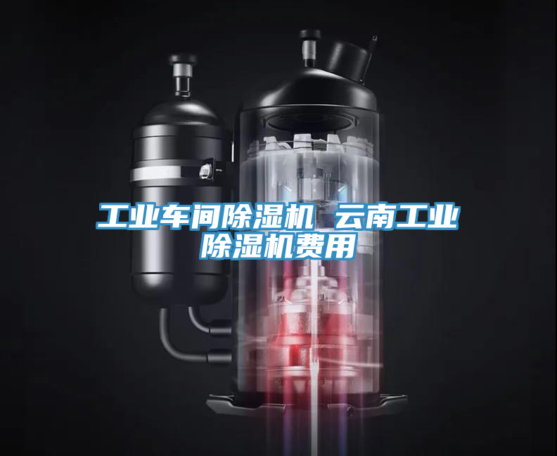 工業(yè)車(chē)間除濕機(jī) 云南工業(yè)除濕機(jī)費(fèi)用
