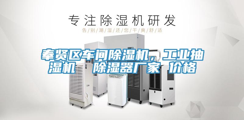 奉賢區(qū)車(chē)間除濕機(jī)，工業(yè)抽濕機(jī)  除濕器廠家 價(jià)格
