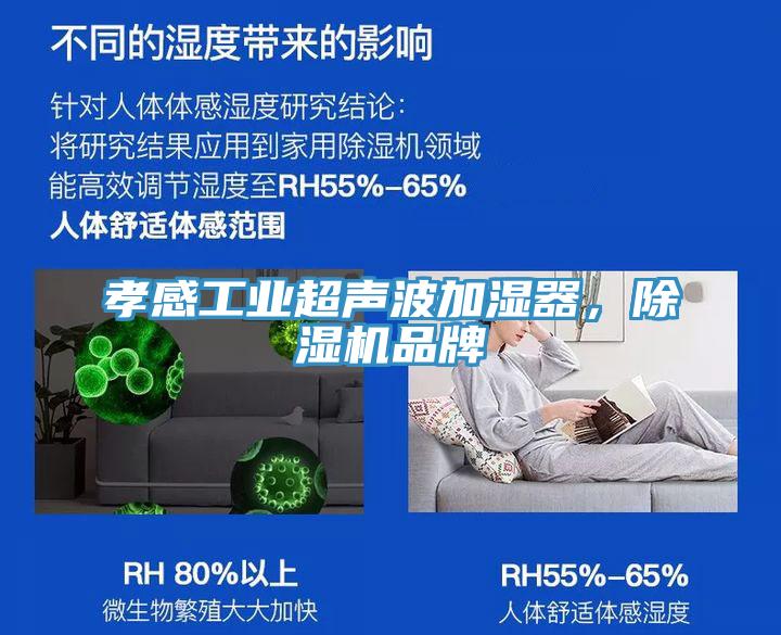 孝感工業超聲波加濕器，除濕機品牌