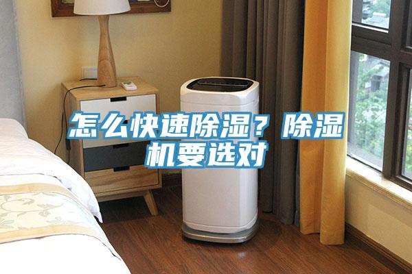 怎么快速除濕？除濕機要選對