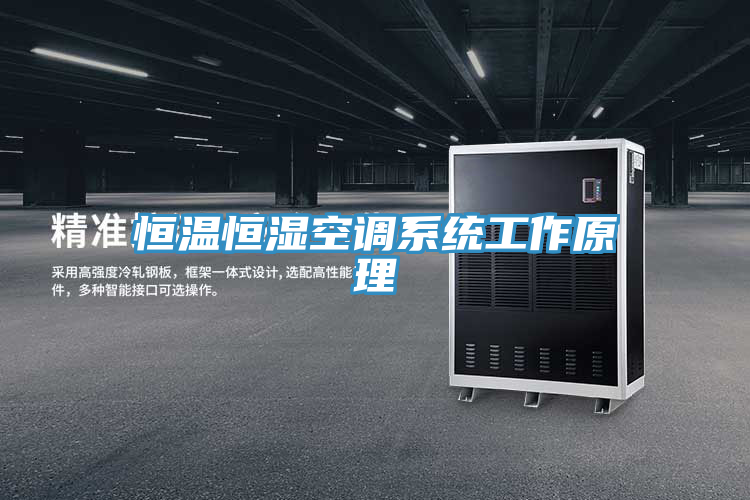 恒溫恒濕空調系統工作原理