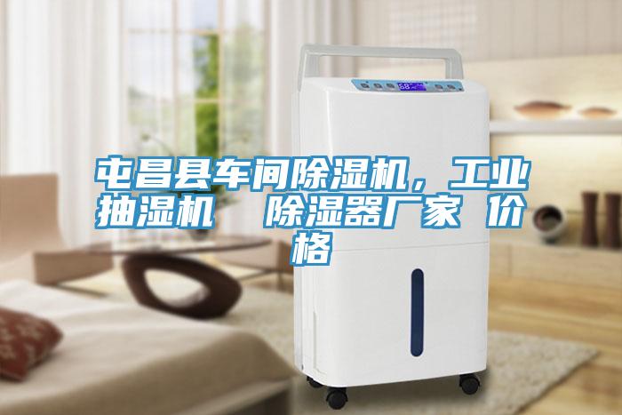 屯昌縣車間除濕機,工業(yè)抽濕機 除濕器廠家 價格