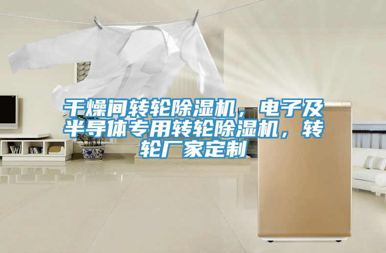 干燥間轉(zhuǎn)輪除濕機，電子及半導(dǎo)體專用轉(zhuǎn)輪除濕機，轉(zhuǎn)輪廠家定制