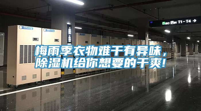 梅雨季衣物難干有異味，除濕機給你想要的干爽!