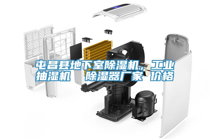 屯昌縣地下室除濕機,工業(yè)抽濕機 除濕器廠家 價格