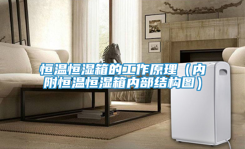 恒溫恒濕箱的工作原理(內附恒溫恒濕箱內部結構圖)